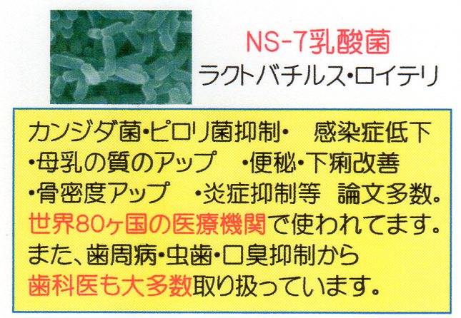 NS-７乳酸菌.jpg