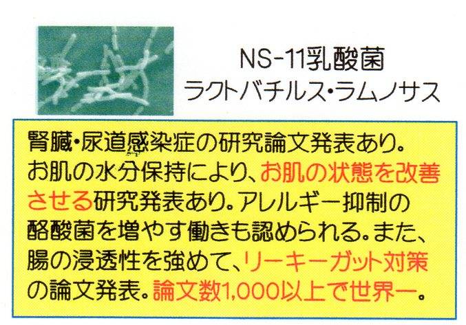 NS-11乳酸菌.jpg